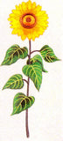 JKM Large Sunflower Applique (Iron On)